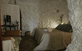 Cueva El Madrono